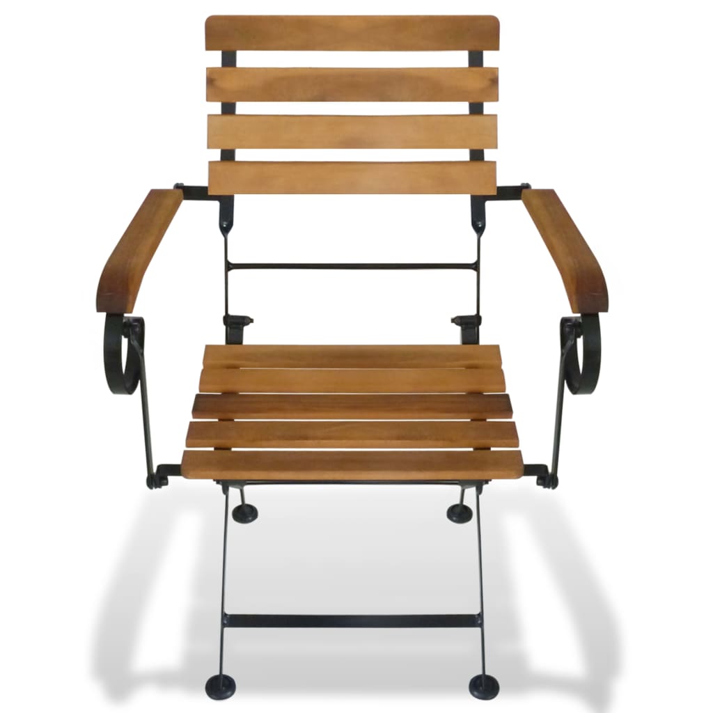 Modern Folding Garden Chairs Set, Steel & Acacia Wood - 2 pcs