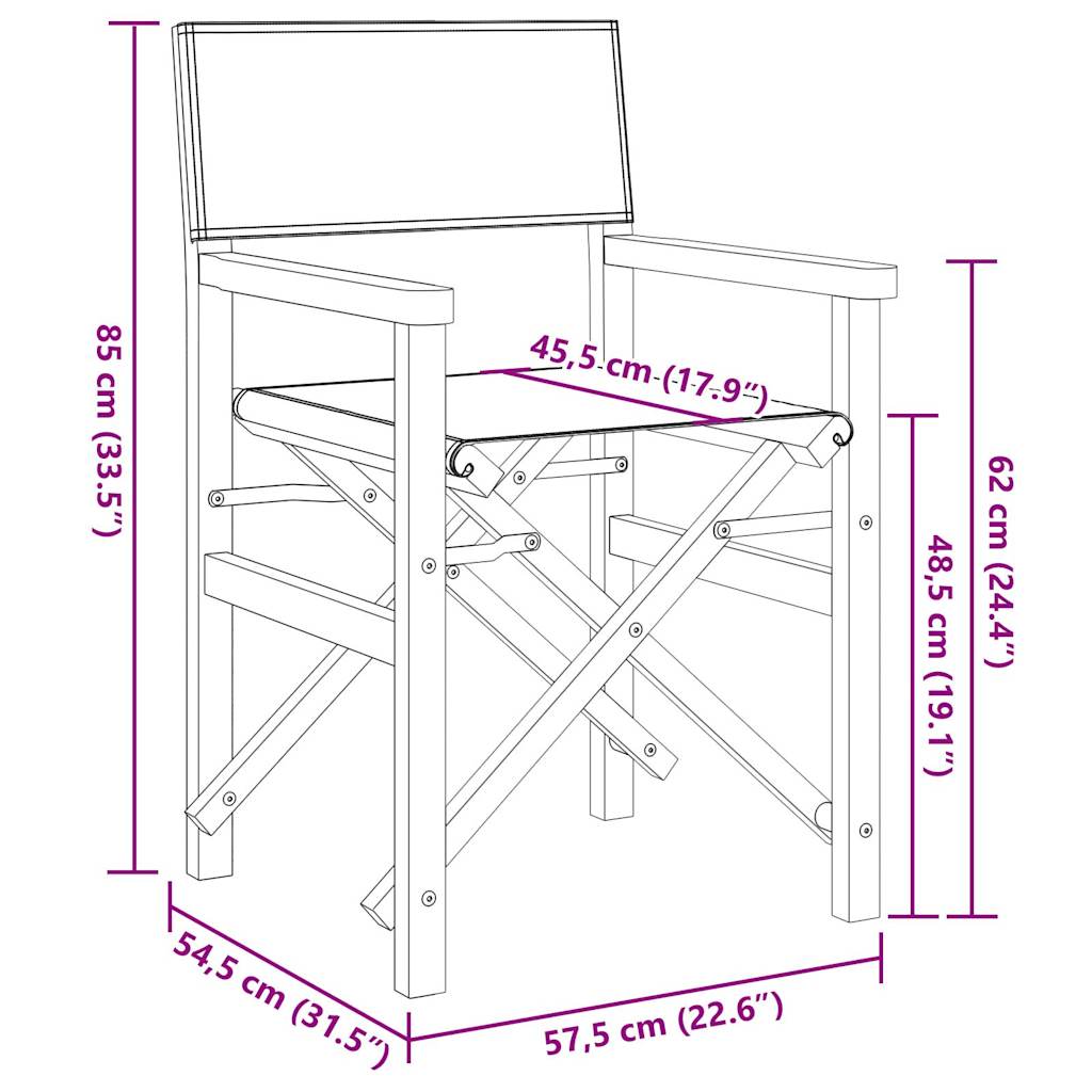 Teak Folding Director's Chair - Solid Wood, Blue Finish