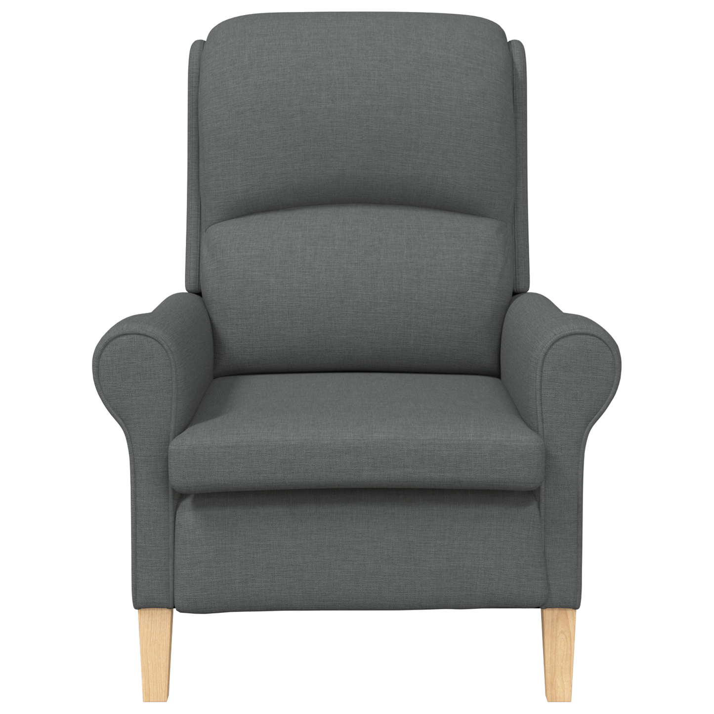 Modern Armchair Dark Grey Fabric, Wood Medium Durable Armchair