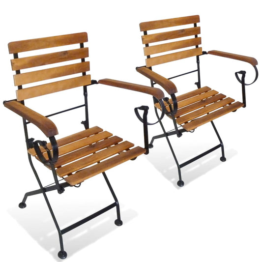 Modern Folding Garden Chairs Set, Steel & Acacia Wood - 2 pcs