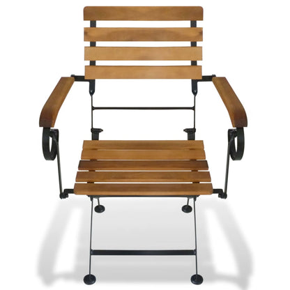 Modern Folding Garden Chairs Set, Steel & Acacia Wood - 2 pcs